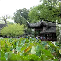 Lotus pond with pavilion in the Humble Administrator’s Garden