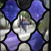 View of the garden through a patterned window