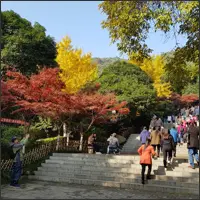 Visitors climb a broad stone stairway through colourful autumn foliage on Yuelu Mountain.