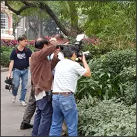 Four photographers photographing a young woman in a Guangzhou park.