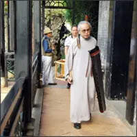 Person in traditional costume walking through the garden.