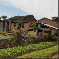 Traditional village houses surrounded by neatly tended vegetable gardens.