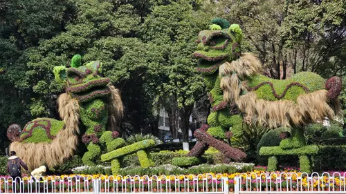 Topiary hedges trimmed into the shape of traditional guardian lions in Kunming, resembling the stone lions that stand at temple and gate entrances.