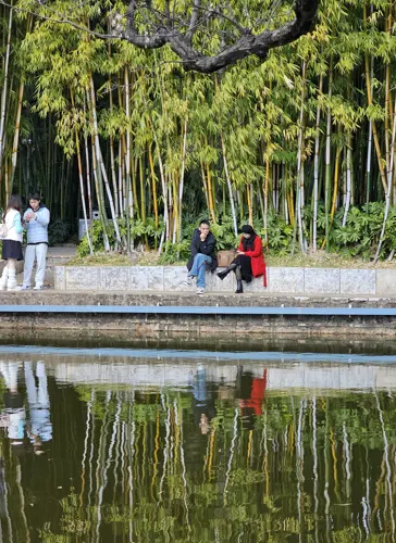 Two couples standing and sitting by Green Lake Park in Kunming, reflected clearly in the calm water with a bamboo grove behind them.