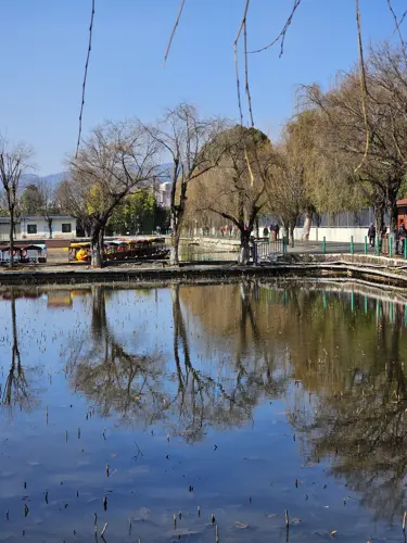 Bare winter trees reflected clearly in the calm lake at Daguan Park under a blue sky.